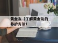 黄金友（了解黄金友的养护方法）