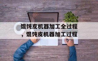 馄饨皮机器加工全过程，馄饨皮机器加工过程