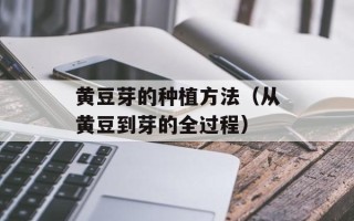黄豆芽的种植方法（从黄豆到芽的全过程）