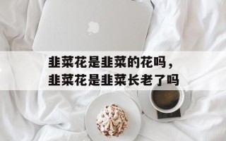 韭菜花是韭菜的花吗，韭菜花是韭菜长老了吗