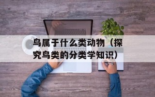 鸟属于什么类动物（探究鸟类的分类学知识）