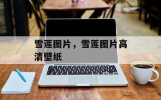 雪莲图片，雪莲图片高清壁纸