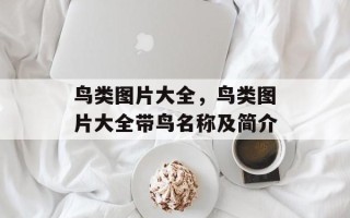 鸟类图片大全，鸟类图片大全带鸟名称及简介