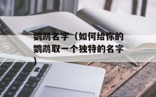 鹦鹉名字（如何给你的鹦鹉取一个独特的名字）