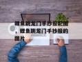 鲤鱼跳龙门手抄报配图，鲤鱼跳龙门手抄报的图片