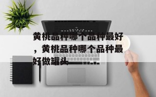 黄桃品种哪个品种最好，黄桃品种哪个品种最好做罐头