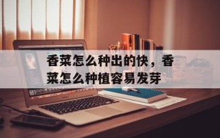 香菜怎么种出的快，香菜怎么种植容易发芽