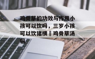 鸡骨草的功效与作用小孩可以饮吗，三岁小孩可以饮猪横脷鸡骨草汤吗