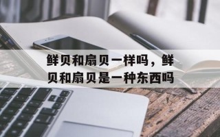 鲜贝和扇贝一样吗，鲜贝和扇贝是一种东西吗