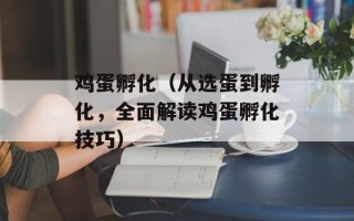 鸡蛋孵化（从选蛋到孵化，全面解读鸡蛋孵化技巧）