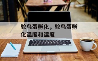 鸵鸟蛋孵化，鸵鸟蛋孵化温度和湿度