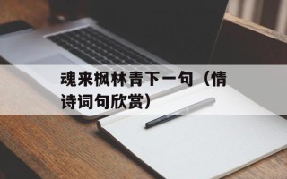 魂来枫林青下一句（情诗词句欣赏）