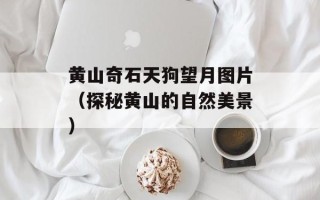 黄山奇石天狗望月图片（探秘黄山的自然美景）