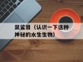 鼠鲨目（认识一下这种神秘的水生生物）