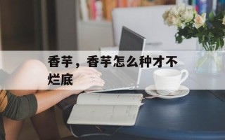 香芋，香芋怎么种才不烂底
