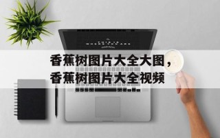香蕉树图片大全大图，香蕉树图片大全视频