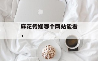 麻花传媒哪个网站能看，