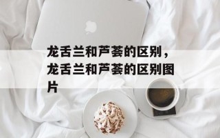 龙舌兰和芦荟的区别，龙舌兰和芦荟的区别图片