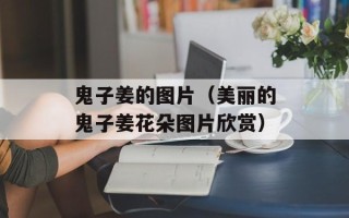 鬼子姜的图片（美丽的鬼子姜花朵图片欣赏）