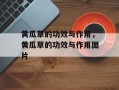 黄瓜草的功效与作用，黄瓜草的功效与作用图片