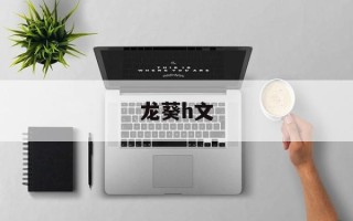 龙葵h文