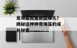龙须菜究竟长在哪儿？揭秘这种神奇海藻的成长秘密
