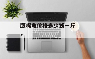 鹰嘴龟价格多少钱一斤，