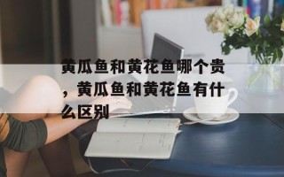 黄瓜鱼和黄花鱼哪个贵，黄瓜鱼和黄花鱼有什么区别