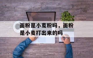 面粉是小麦粉吗，面粉是小麦打出来的吗