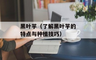 黑叶芋（了解黑叶芋的特点与种植技巧）