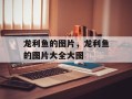 龙利鱼的图片，龙利鱼的图片大全大图