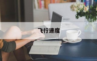 飞行速度