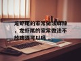 龙虾尾的家常做法麻辣，龙虾尾的家常做法不放啤酒可以吗