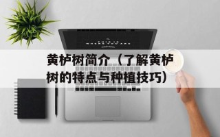 黄栌树简介（了解黄栌树的特点与种植技巧）