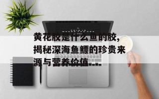 黄花胶是什么鱼的胶,揭秘深海鱼鳔的珍贵来源与营养价值