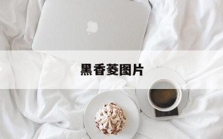 黑香菱图片