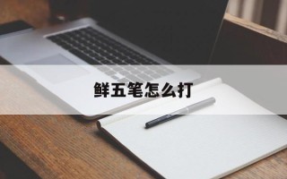 鲜五笔怎么打