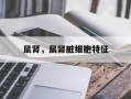 鼠肾，鼠肾脏细胞特征