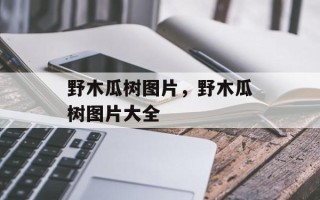 野木瓜树图片，野木瓜树图片大全
