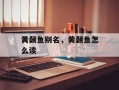 黄颡鱼别名，黄颡鱼怎么读
