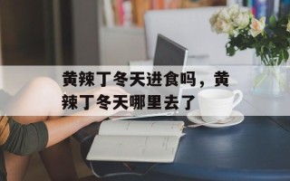 黄辣丁冬天进食吗，黄辣丁冬天哪里去了