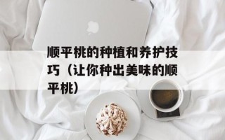 顺平桃的种植和养护技巧（让你种出美味的顺平桃）