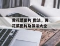 黄花菜图片 做法，黄花菜图片及做法大全