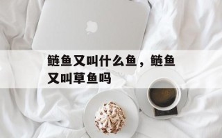 鲢鱼又叫什么鱼，鲢鱼又叫草鱼吗