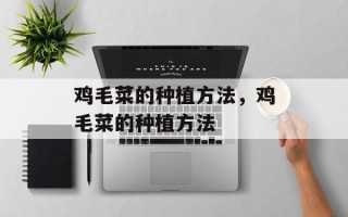 鸡毛菜的种植方法，鸡毛菜的种植方法