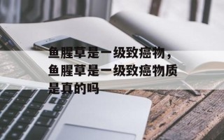 鱼腥草是一级致癌物，鱼腥草是一级致癌物质是真的吗