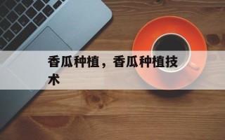 香瓜种植，香瓜种植技术