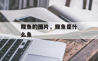 鳆鱼的图片，鳆鱼是什么鱼
