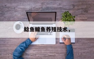 鲶鱼鳙鱼养殖技术，