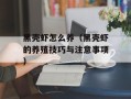 黑壳虾怎么养（黑壳虾的养殖技巧与注意事项）